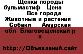 Щенки породы бульмастиф › Цена ­ 25 000 - Все города Животные и растения » Собаки   . Амурская обл.,Благовещенский р-н